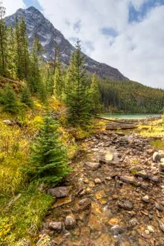 Mountain Stream Stock Photos