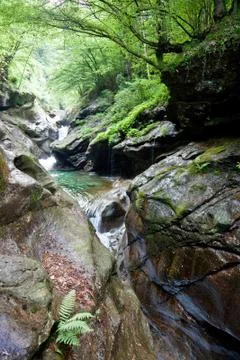Mountain stream Stock Photos