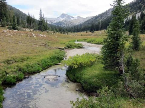 Mountain with stream Stock Photos