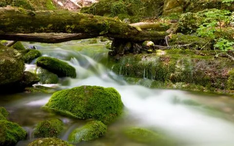 Mountain stream Stock Photos