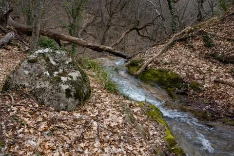 Mountain stream Fotos de archivo