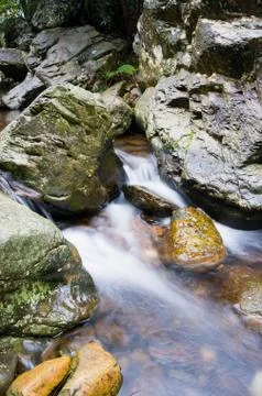 Mountain stream Stock Photos