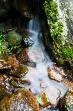 Mountain stream Stock Photos