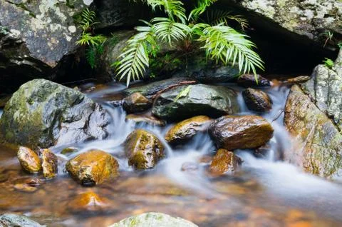 Mountain stream Stock Photos