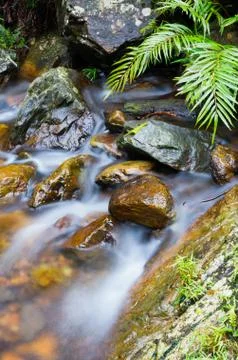 Mountain stream Stock Photos
