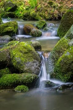 Mountain stream Stock Photos
