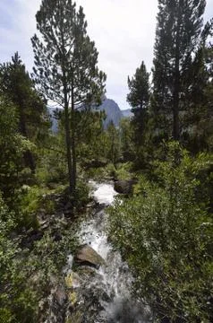 Mountain stream Foto stock