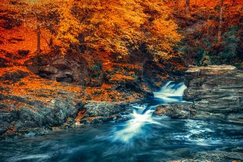 Mountain stream Fotos Stock