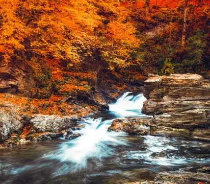 Mountain stream Stock Photos