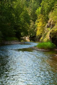 Mountain stream Stock Photos