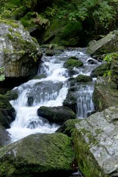 Mountain stream Foto stock
