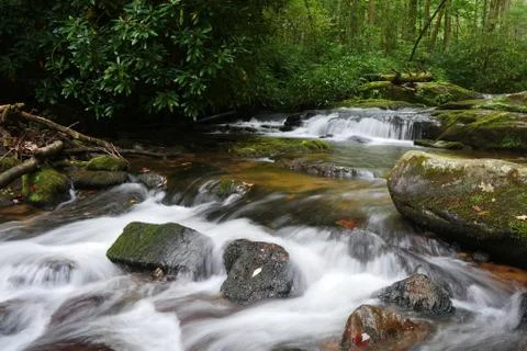 Mountain Stream 写真素材