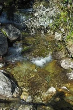 Mountain Stream Stock Photos