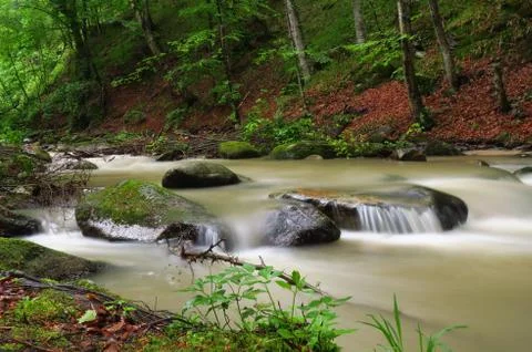 Mountain stream 写真素材