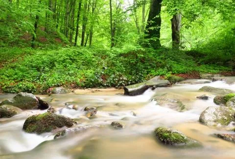 Mountain stream Foto stock