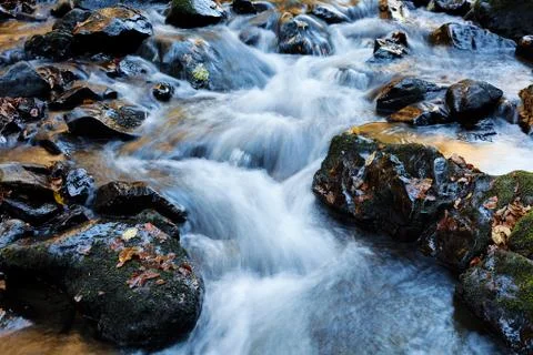Mountain stream Foto stock gratuite