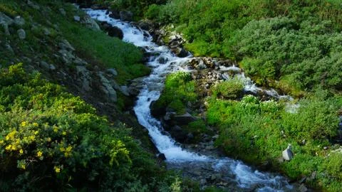 Mountain Stream Stock Photos