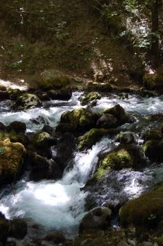 Mountain stream Stock Photos
