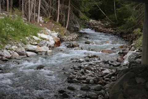 Mountain stream Stock Photos