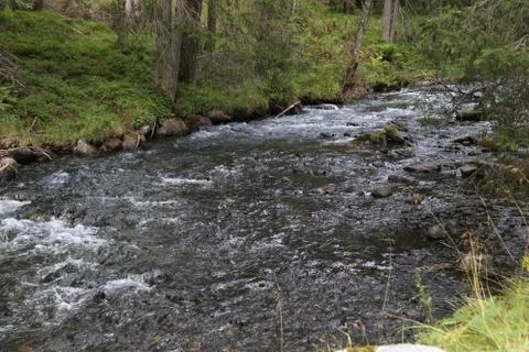 Mountain stream Stock Photos