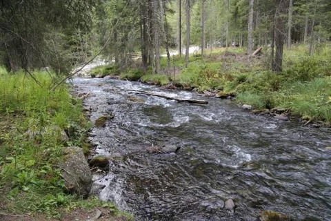 Mountain stream Stock Photos