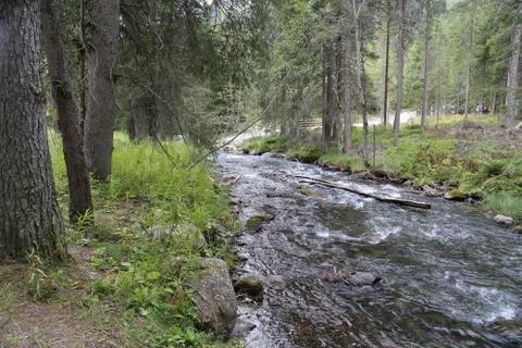 Mountain stream Foto stock