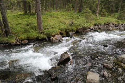 Mountain stream Stock Photos