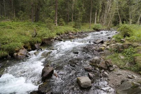 Mountain stream Stock-Fotos