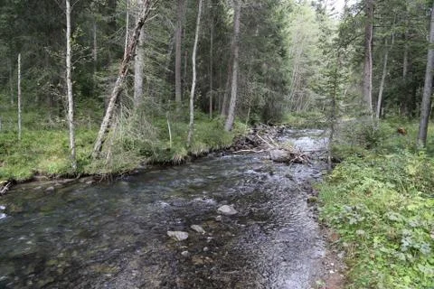 Mountain stream Stock Photos