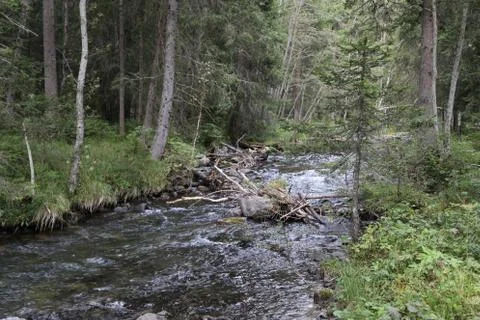 Mountain stream Foto stock