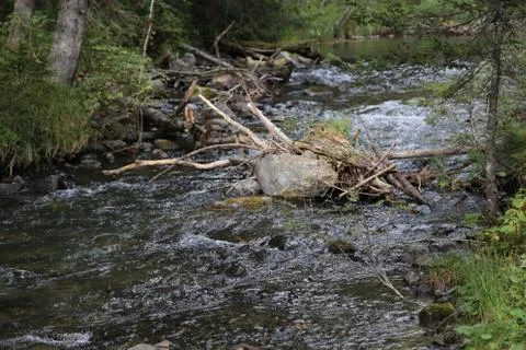 Mountain stream Foto stock