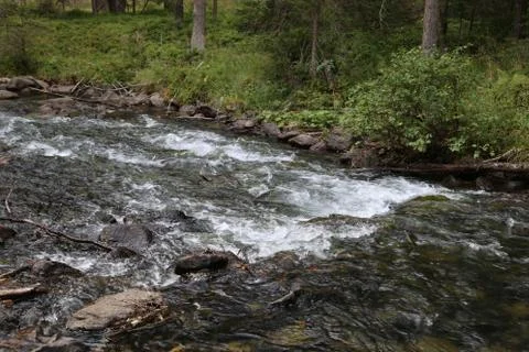 Mountain stream Stock-Fotos