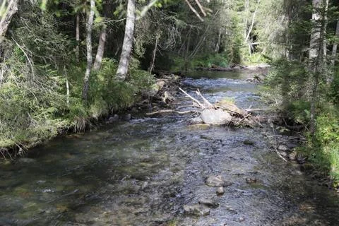 Mountain stream Stock Photos