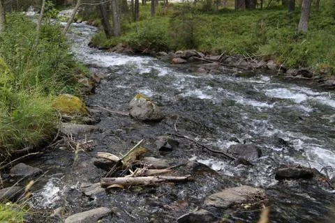 Mountain stream Stock-Fotos