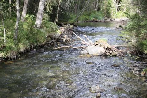 Mountain stream Foto stock