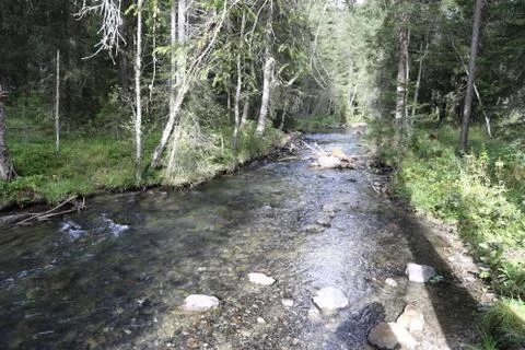 Mountain stream Stock Photos