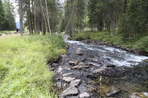 Mountain stream Stock Photos