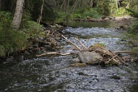 Mountain stream Stock Photos