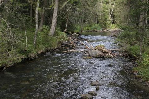 Mountain stream Foto stock