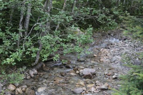Mountain stream Stock Photos