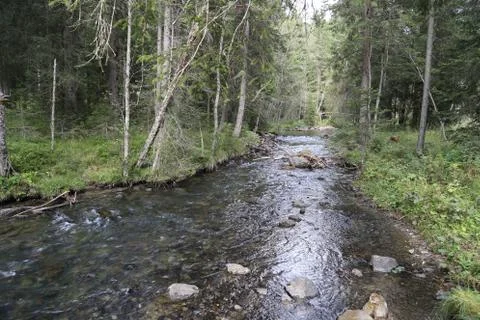 Mountain stream Foto stock