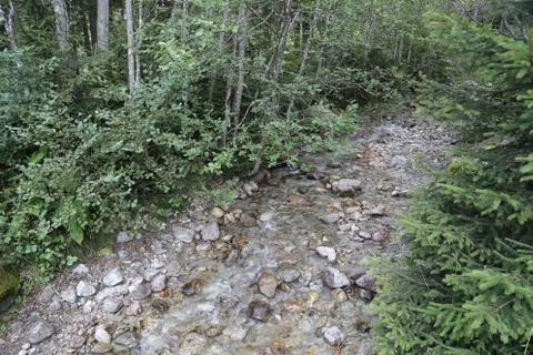 Mountain stream Stock Photos