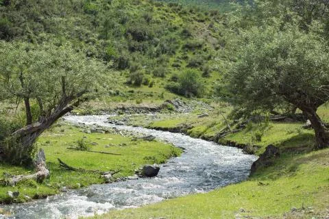 Mountain stream Foto stock