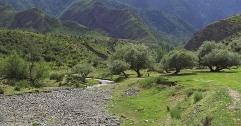 Mountain stream Stock Photos