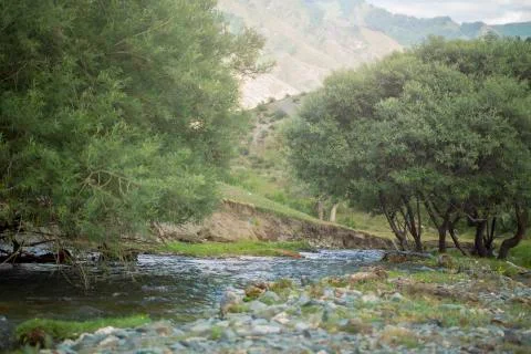 Mountain stream Stock Photos