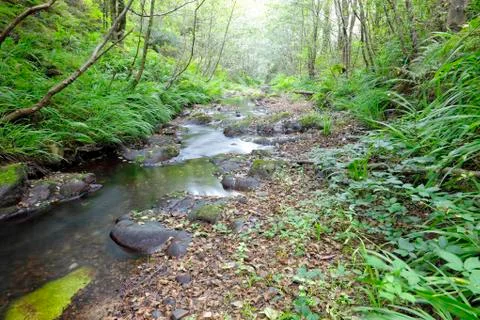 Mountain Stream Foto stock