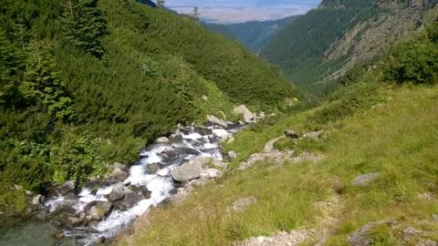 Mountain stream 写真素材