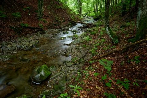 Mountain stream Stock Photos