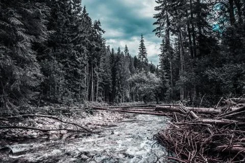 A mountain stream Stock Photos