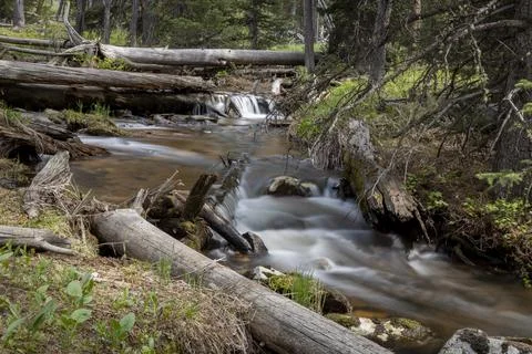 Mountain stream Stock Photos